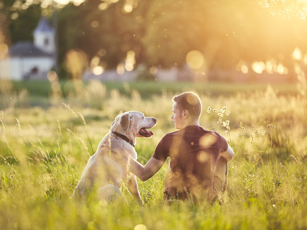 Workshop: Aufbaukurs - Klopftechnik für Hunde