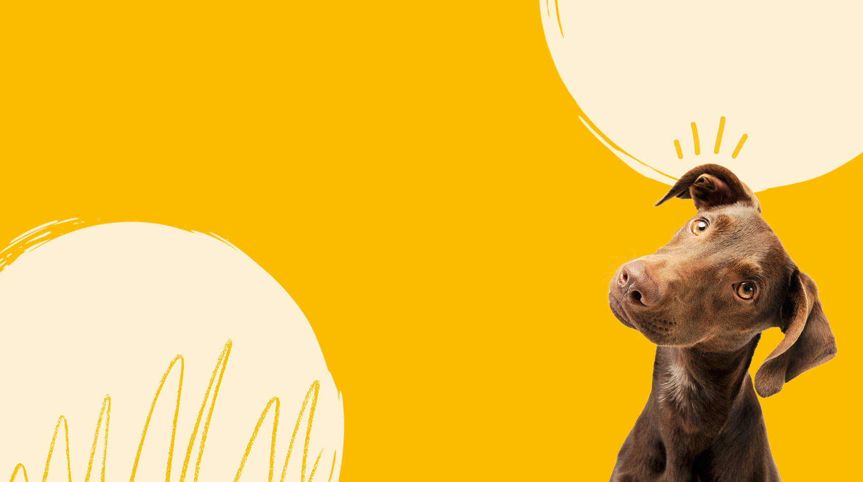 Header: Hilfe, mein Hund hat einen Klopfer